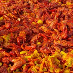 Paella garnie préparée par notre chef, traiteur à Bergerac - Christelle Vergnaud, traiteur à Bergerac